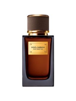 DOLCE & GABBANA - VELVET...